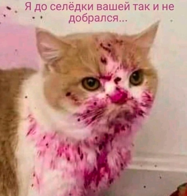 Всякая смешная фигня
