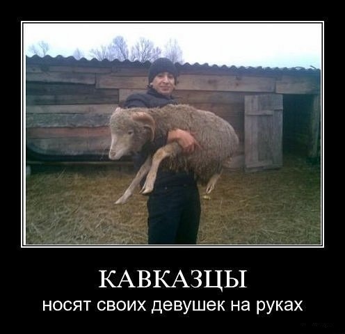 Ежедневный таджик-убийца.