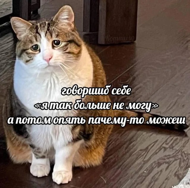 Тлидцать тли от 14 февлаля