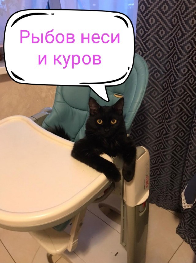 Подорбрали на улице