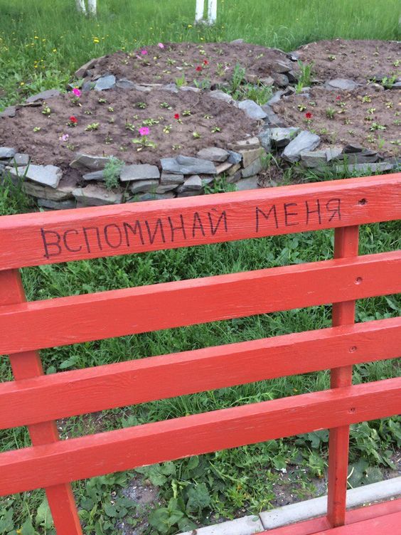 Прикольные и просто красивые картинки 14.06.24