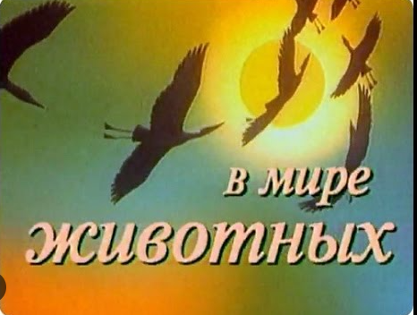Место действия - Дагестан