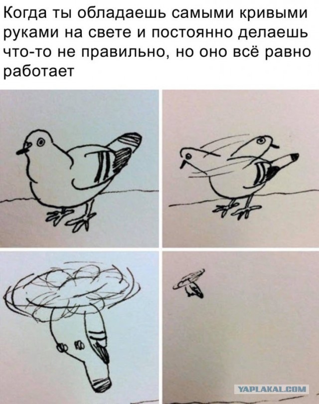 С праздником, программисты!