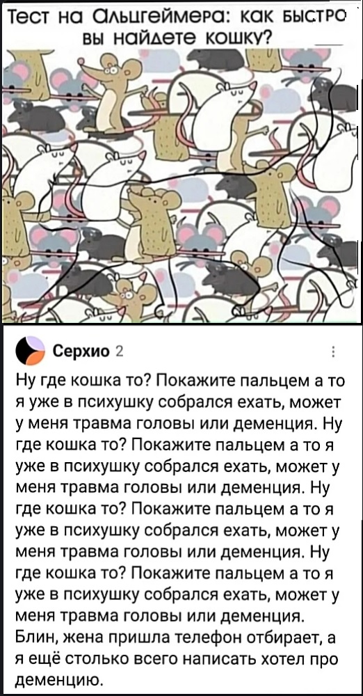 19515597.jpg