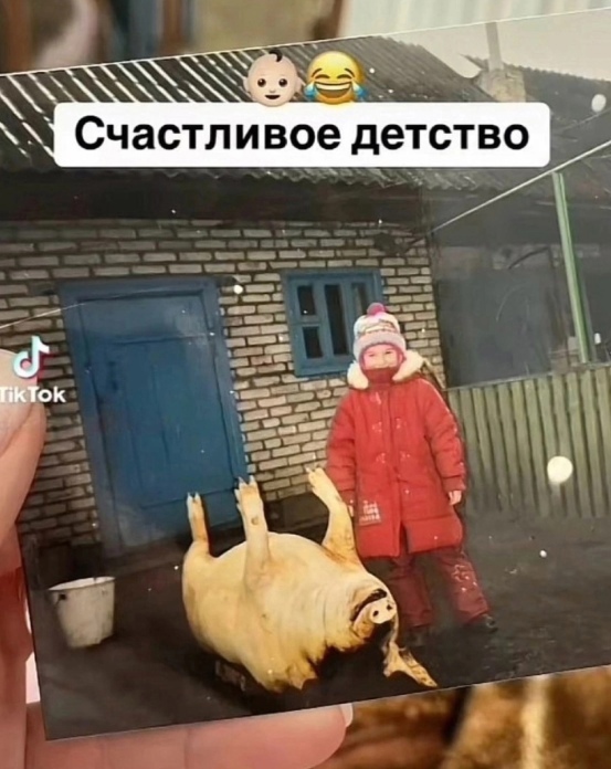 Так себе картинки 23.11.24