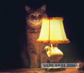 Литературная беседка