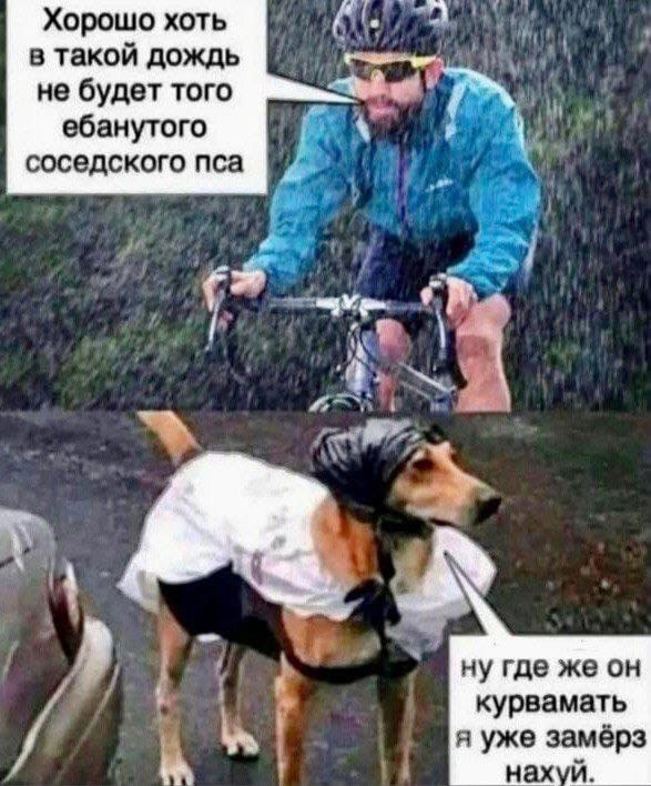 Баяны с распродажи
