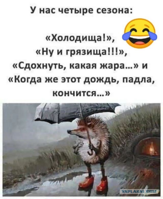 Сборник Баянов