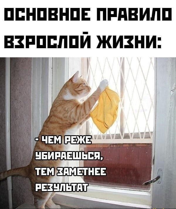 Для пятничного настроения