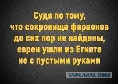 Так себе картинки 24.12.25