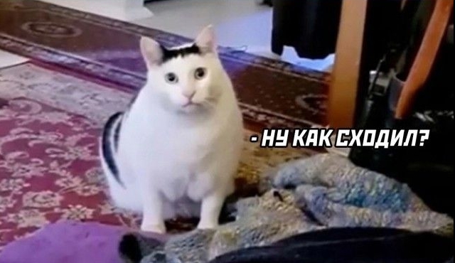 Как я выжил после свидания