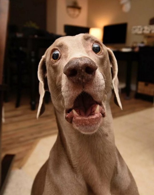 Чистейший звук...