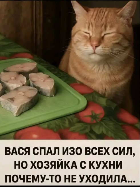 Картиночки, баянчики 30 апреля