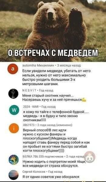 20981597.jpg