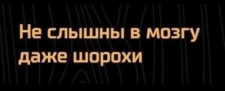 Москвичи за посылкой пришли