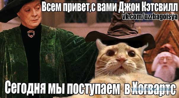 Джонни Кэтсвилл