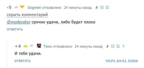 Смешные комментарии из социальных сетей