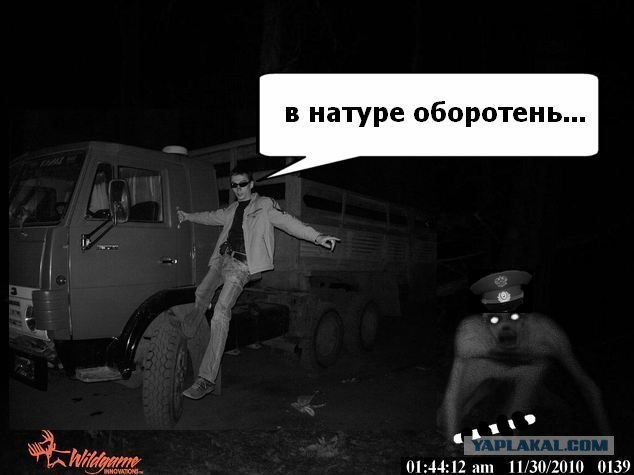 Ночной призрак
