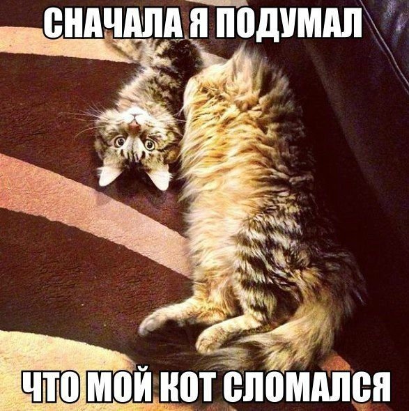 Пох, и так сойдет!