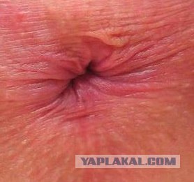 Где-где... именно там!