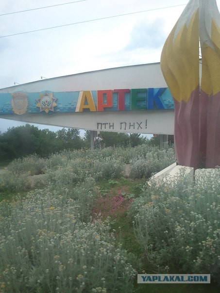 Партизанская война