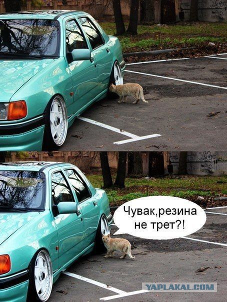 Я не опущен,я правильно занижен...