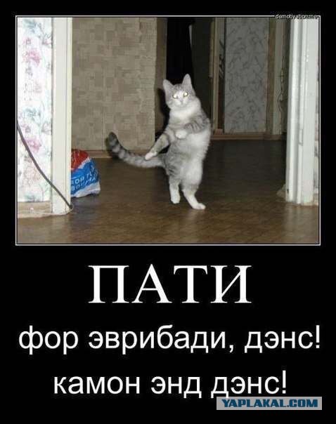 Смешные картинки