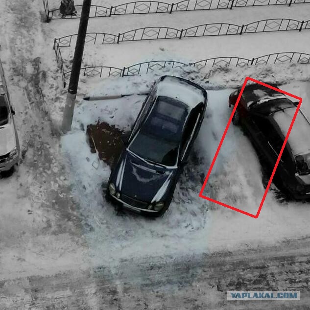 В нашем доме появился