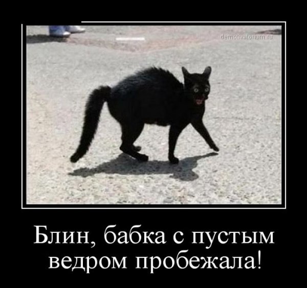 Демотиваторы дня