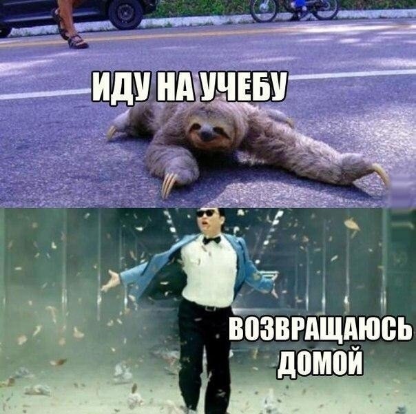 Весёлые картинки