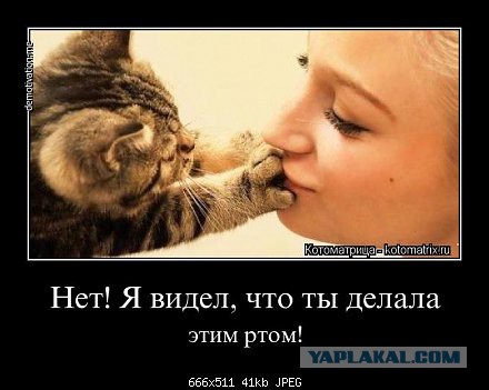 Дай поцелую...
