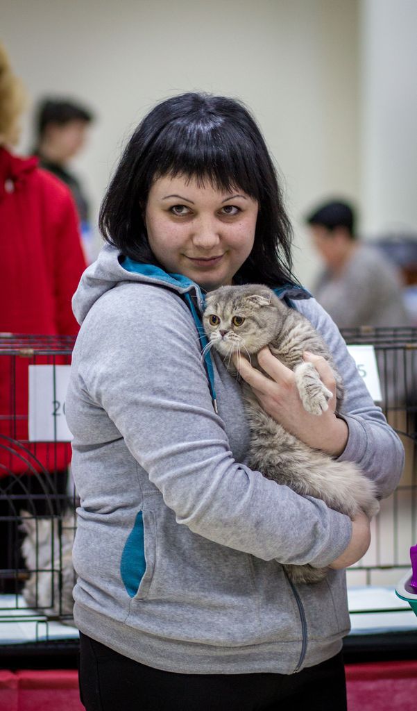 Выставка кошек WCF 4 апреля Тамбов