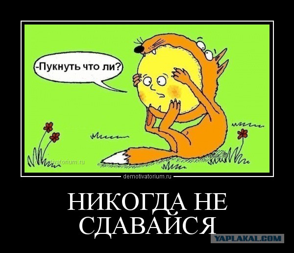 Никогда не делайте этого, слышите никогда
