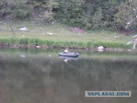 Апрельская рыбалка на Ахтубе