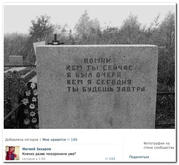 Смешные комментарии из социальных сетей