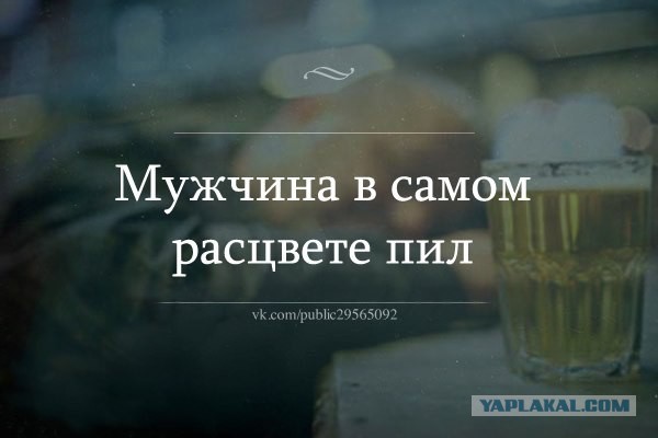 Просто картинки