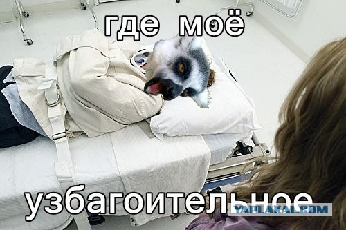 Дети подорвались на установленной дачником мине