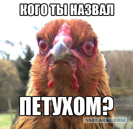 Кто дырявый, бл....?!