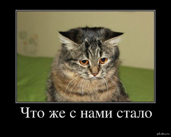 Как я стал мудаком