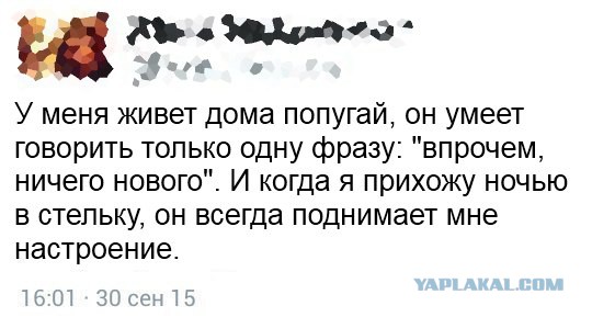 Немного картинок и демотиваторов