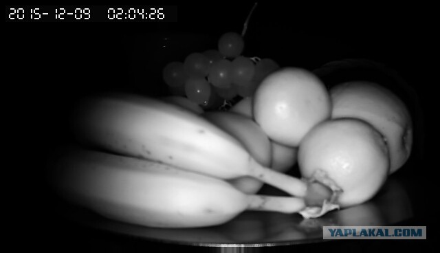 За что я люблю китайцев