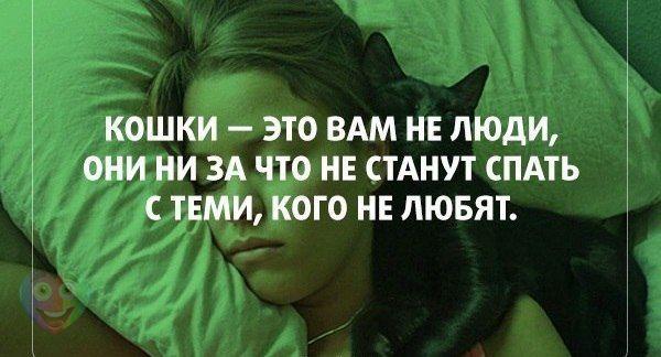 А давайте улыбнёмся