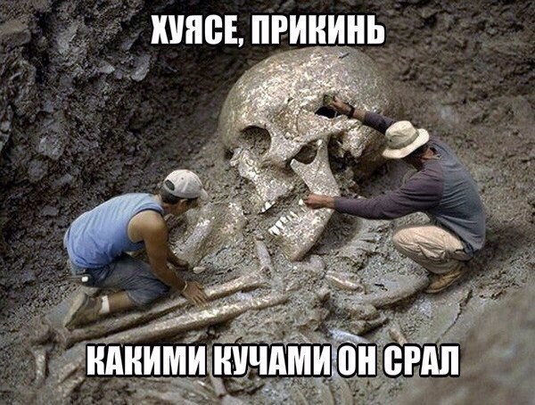 Позитив на воскресенье