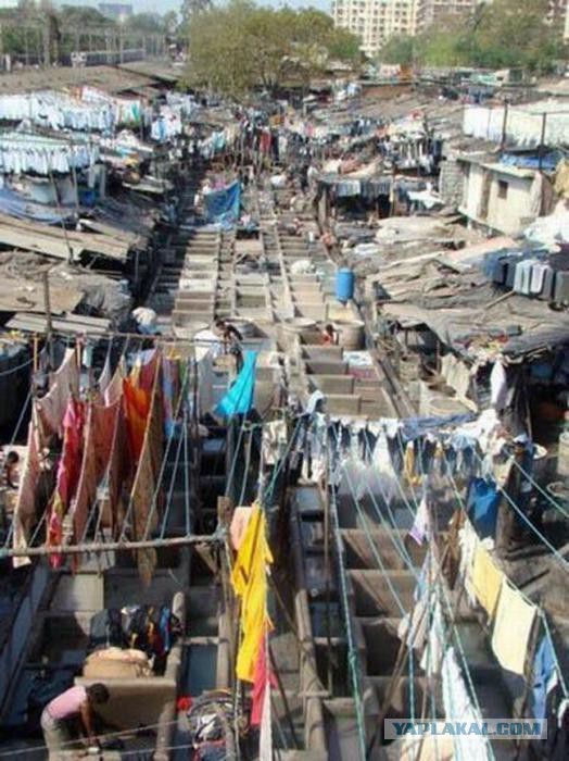 Такое увидишь только в Индии