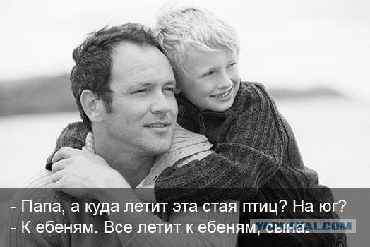 Подборка интересных и веселых картинок