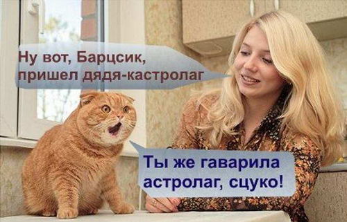 Короче, ты не просто спал...это был наркоз...И мы отрезали тебе шары...