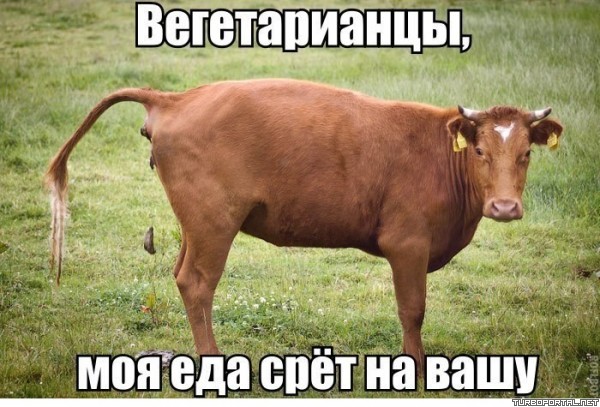 «Кто ты по гороскопу?»