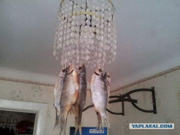 кто и как сушит рыбку на лоджии или балконе