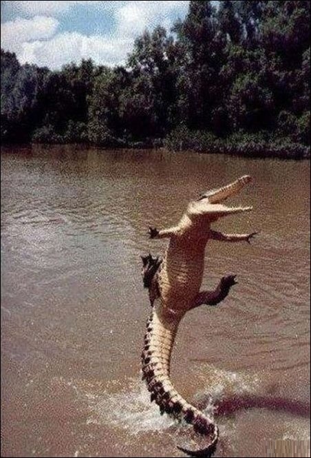 Для Поднятия Настроения - 8