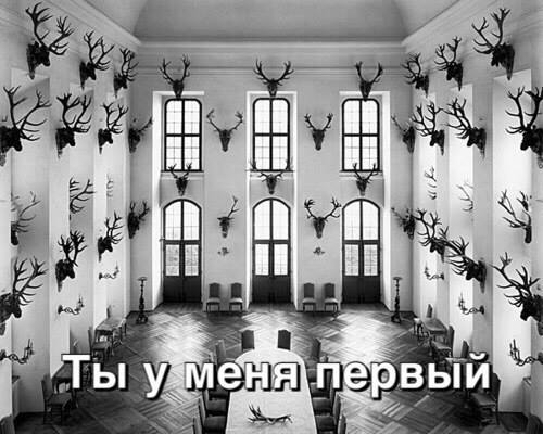 Картинки и приколы из сети